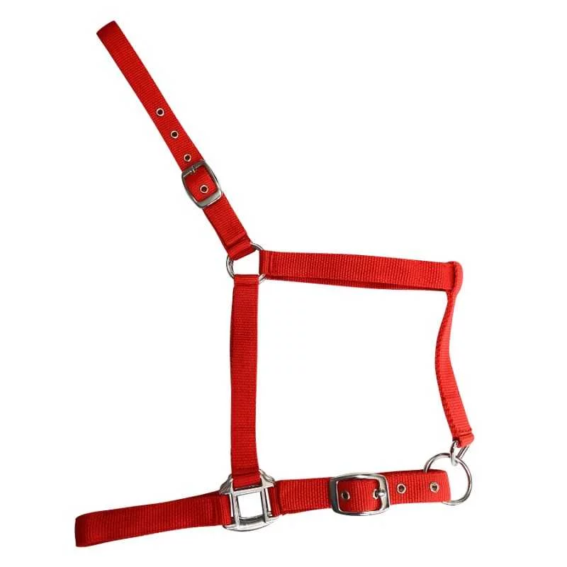 Cabezada De Nylon Sencilla - Imagen 5